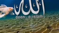 کلیپ دعا - کلیپ خدایی