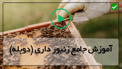آموزش تولید عسل و شاخه-نگهداری کندوی عسل-نمونه برداری از آلودگی نزوما