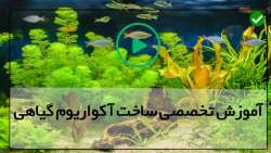 آموزش روش ساخت آکواریوم