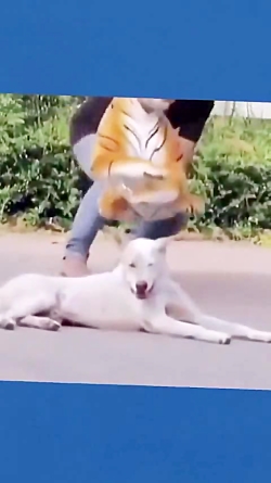 فیلم طنز خنده دار