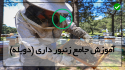 آموزش زنبورداری و برداشت عسل-روش بازرسی برای تشخیص بیماری