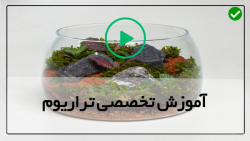 آموزش ساخت تراریوم-باغ شیشه ای-ساخت تراریوم شیک محفظه بسته