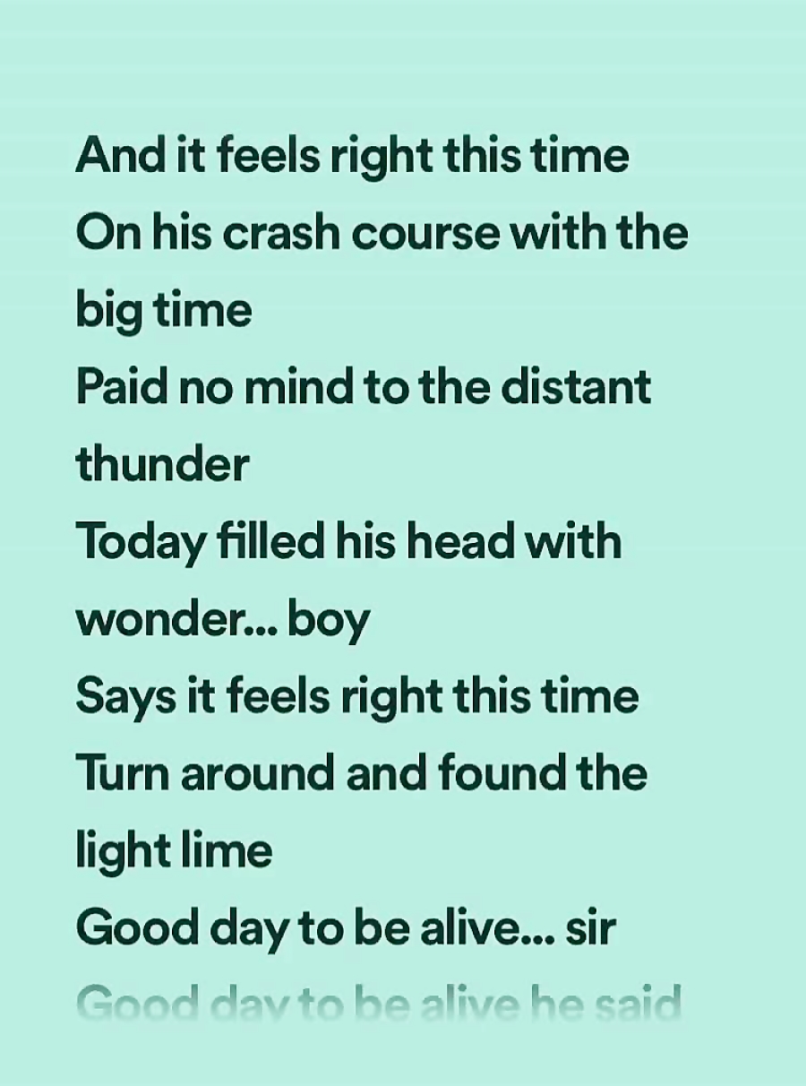 Metallica No Leaf Clover