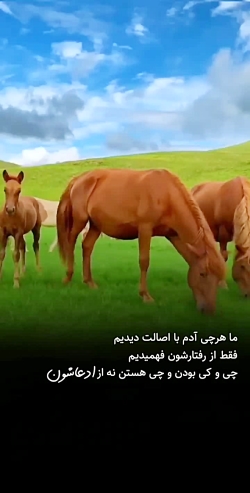 میکس فوق احساسی ||  هر چی ادم با اصالت دیدیم || کلیپ عاشقانه || استوری احساسی