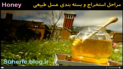 آشنایی با زنبورداری و استخراج عسل طبیعی Honey