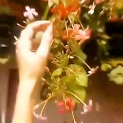 دکلمه دل بشکسته شعری از محمد خوش بین(بار دیگر دل شکست غم های دل از حد گذشت)