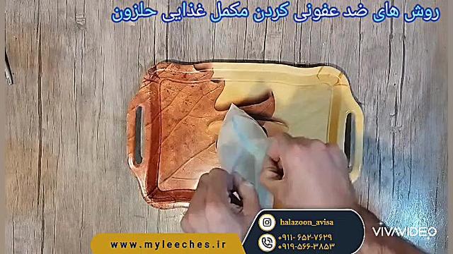 روش ضد عفونی مکمل مخصوص حلزون ترانه علیدوستی