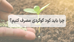 چرا باید کود گوگردی مصرف کنیم؟