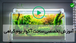 طراحی اکواریوم گیاهی-( 3روش تصفیه آب آکواریوم)