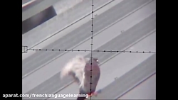 شکار کبوتر با تنفگ بادی (PCP)...