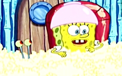 باب اسفنجی جعبه جادوگری