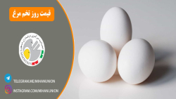 خرید عمده تخم مرغ   قیمت امروز تخم مرغ