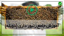 دوره آموزش پرورش زنبور