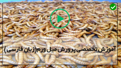 نحوه اضاف کردن میل ورم جدید
