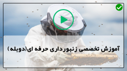 اموزش زنبورداری در ایران-زنبورداری مدرن-رنگ کردن کندوهای میزمور