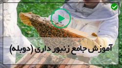 فیلم زنبور داری-پرورش زنبور عسل زنبورداری-قسمت علامتگذاری ملکه