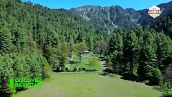 جنگل شاران - کشور پاکستان