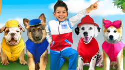 برنامه کودک ساشا  نجات اسباب ب...