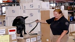 اسباب بازیهای تقلبی و خطرناک چ...