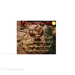 طرح توجیهی احداث باغ بادام اصلاح شده دیرگل،مهندس معصومی