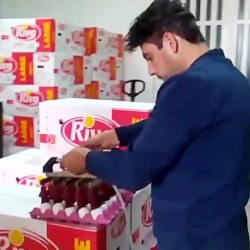 دستگاه تخم مرغ شکن وهاب نوتاش