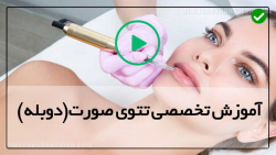 آموزش کامل تاتو صورت-آموزش تاتو-جلسه آنلاین خط موی ابرو