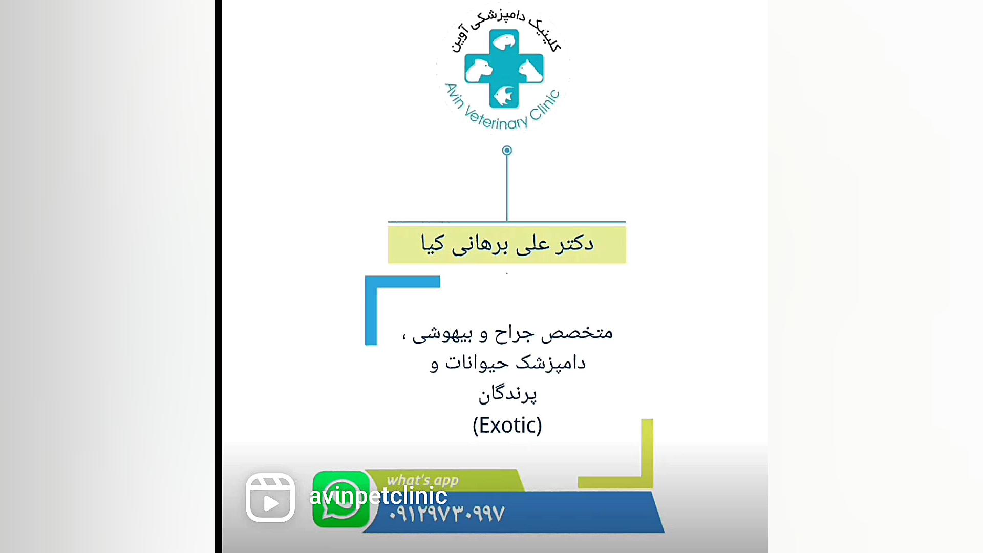 جراحی آبسه چشمی ناشی از عفونت انگلی دکتر علی برهانی کیا