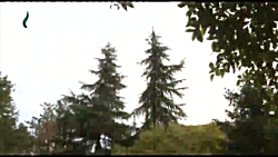 سرخ انار