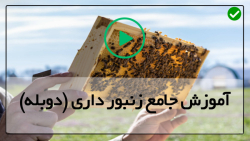زنبورداری نوین