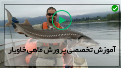 آموزش پرورش ماهی خاویار