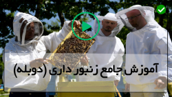 آموزش زنبورداری رایگان-زنبورداری مدرن-برپایی کلونی سلول ساز