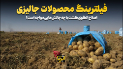 فیلترینگ محصولات جالیزی فیلترینگ محصولات جالیزی