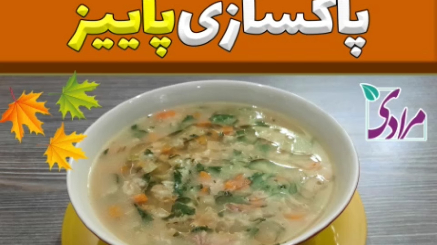 طرز تهیه سوپ پاکسازی پاییزه دکتر فاطمه مرادی متخصص طب ایرانی