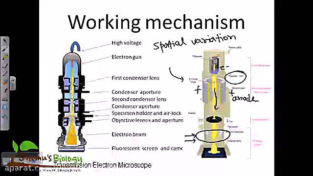 Electron microscopy | Transmission electron microscopy روکش دندان