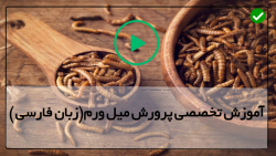 پرورش کرم میل ورم-پرورش میلورم-میل ورم پروتئینی برای آینده