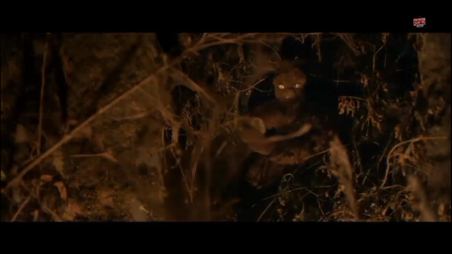 فیلم ترسناک Tumbbad | معرفی فیلم هندی تومباد زمان60ثانیه