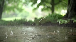 اسرار زمین قبر معصوم ع . استاد مسعود عالی