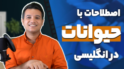 ساخت اصطلاحات با استفاده از اسامی حیوانات! - آکادمی روان