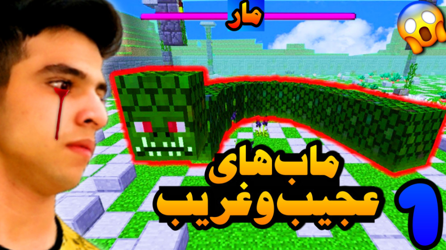 ماینکرفت اما ماب های عجیب (1)...