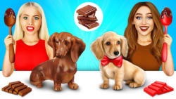 تفریحی و سرگرمی  چالش موقعیت غ...