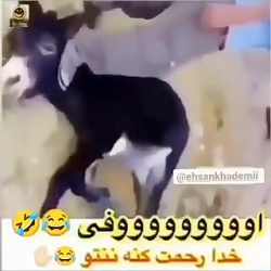 خنده