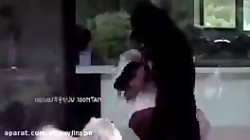 بی تی اس و حیوانات