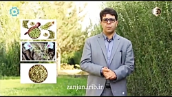 خواص هل سبز