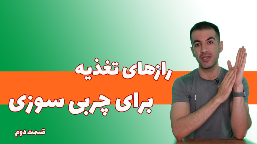 رازهای تغذیه برای چربی سوزی2 گربه فضایی