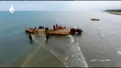 صید پره