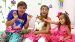 برنامه کودک نستیا نستیاشو سرگر...