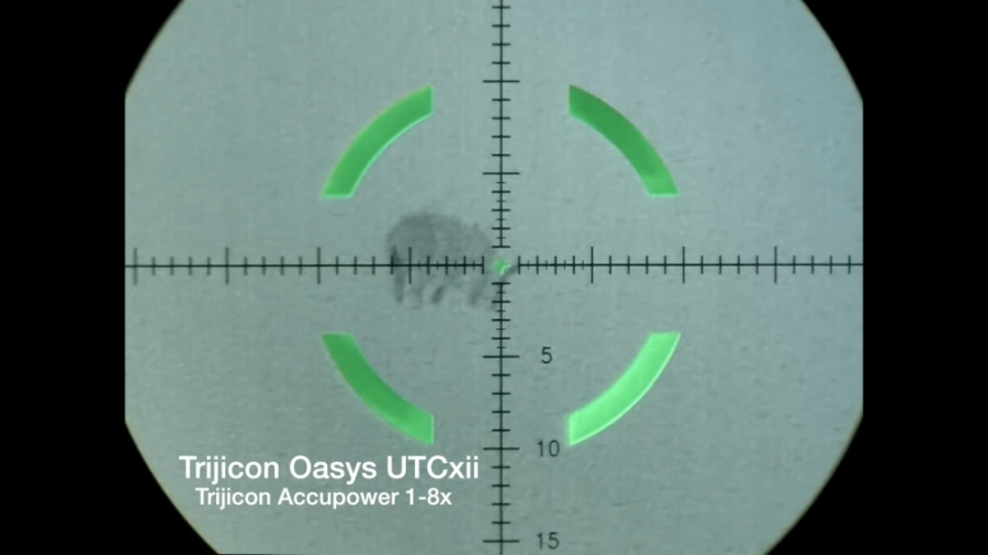 شکار تاصد گراز حمله کرده به ای...
