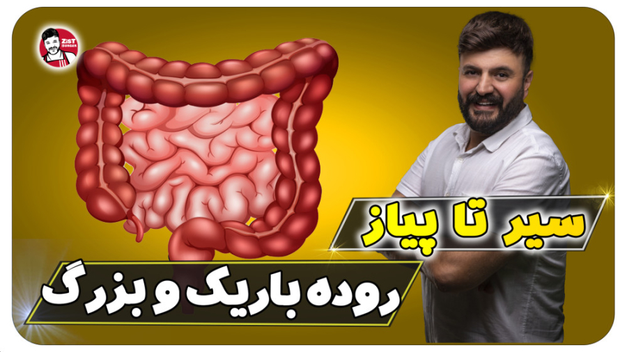 روده باریک و روده بزرگ در کنکور