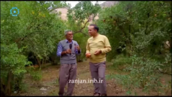 گوزل زنگان _ روستای سرخ آباد