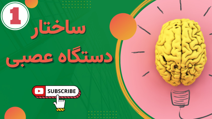 ساختار دستگاه عصبی ابرسانی پوست